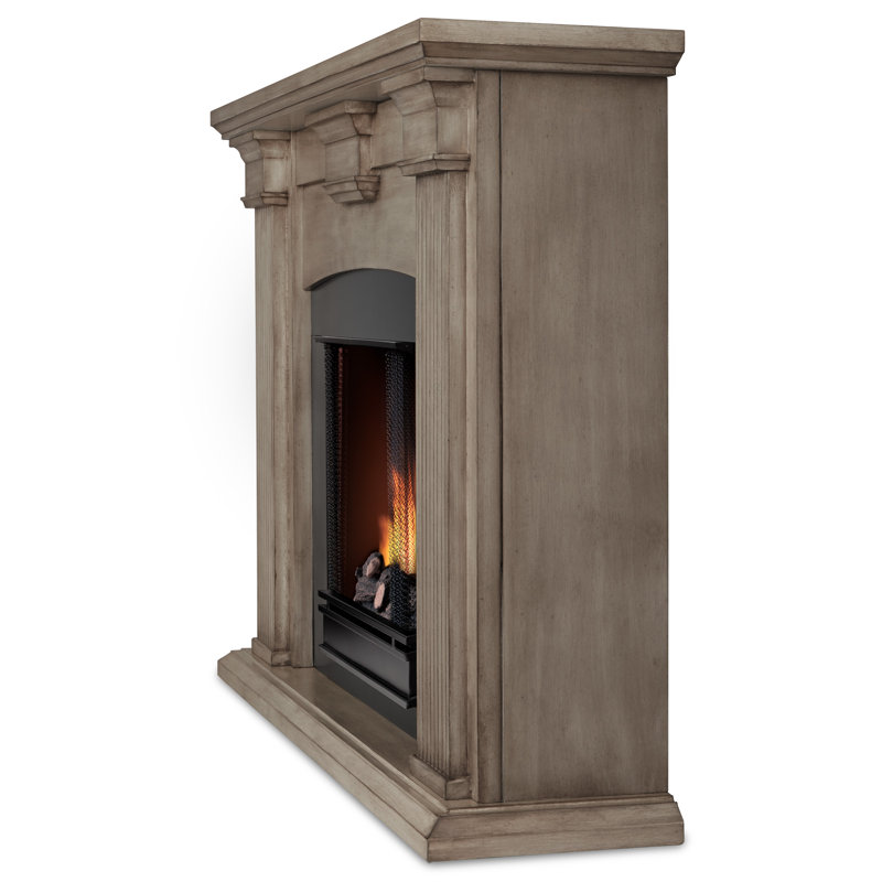 Real Flame Adelaide Gel Fuel Fireplace & Reviews Wayfair